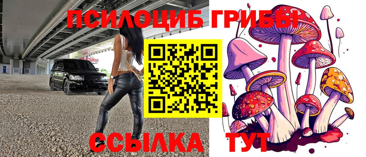 Псилоцибиновые грибы MAGIC MUSHROOMS Лыткарино