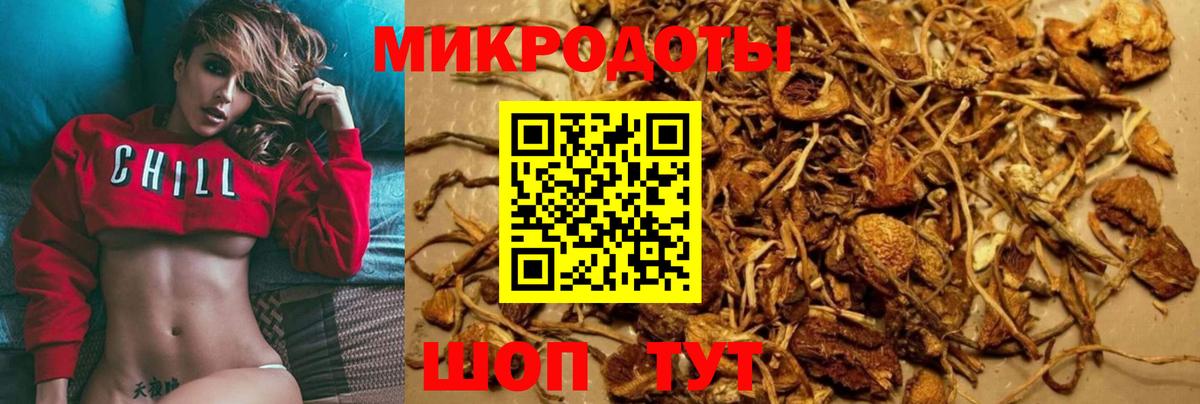Лыткарино  Галлюциногенные грибы Psilocybine cubensis  Псилоцибиновые грибы Cubensis  Вход с VPN 